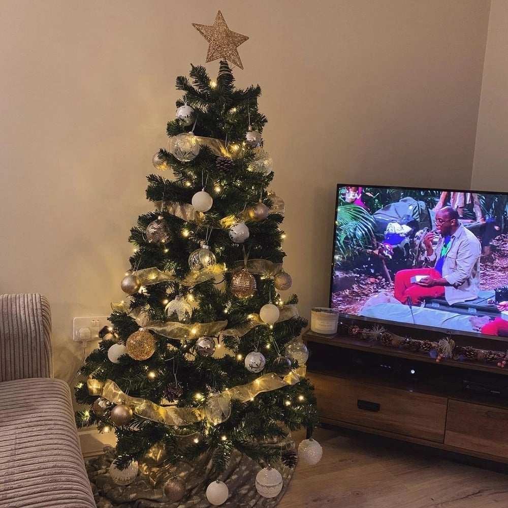 CHRISTMAS RIBBON FAIRY LIGHTS