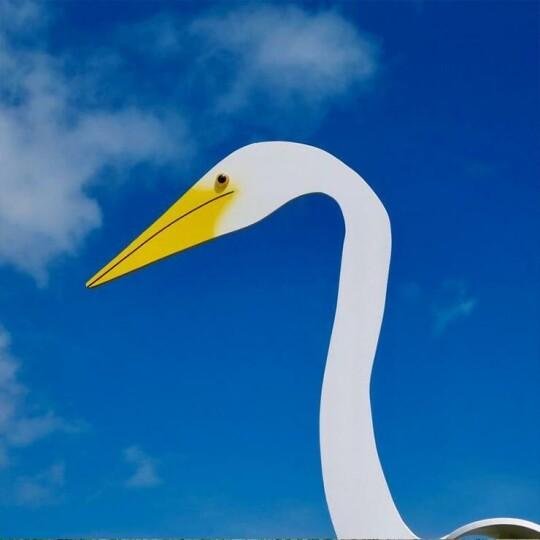 Swirl Bird-A whimsical and dynamic bird that spins with the slight garden breeze