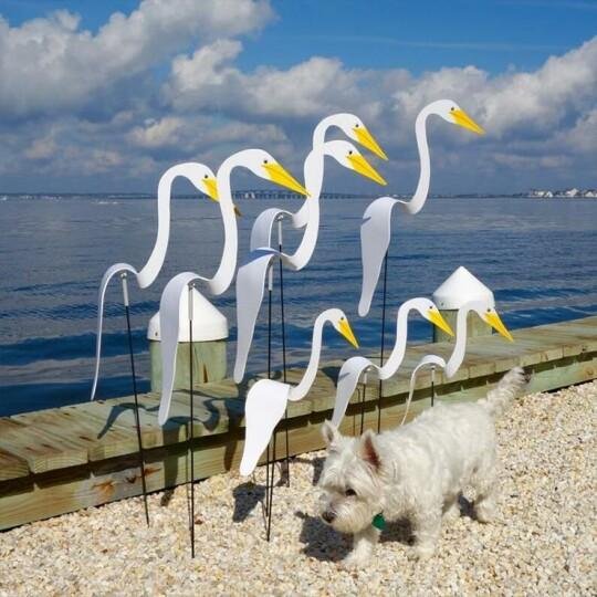 Swirl Bird-A whimsical and dynamic bird that spins with the slight garden breeze