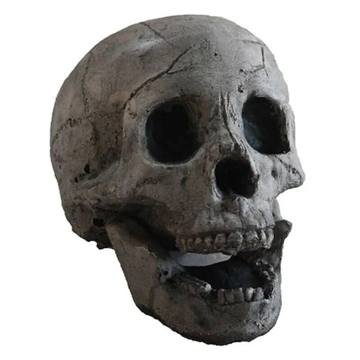 Terrifying Human Skull Fire Pit