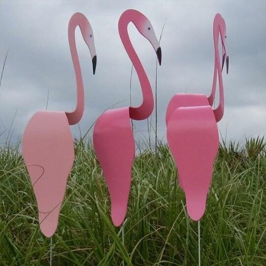 Swirl Bird-A whimsical and dynamic bird that spins with the slight garden breeze