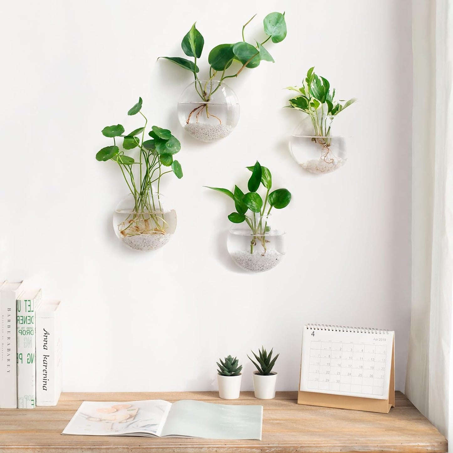 💥Special sale - Glass Oblate Globe Plants Containers Wall Mount Clear Flower Vase