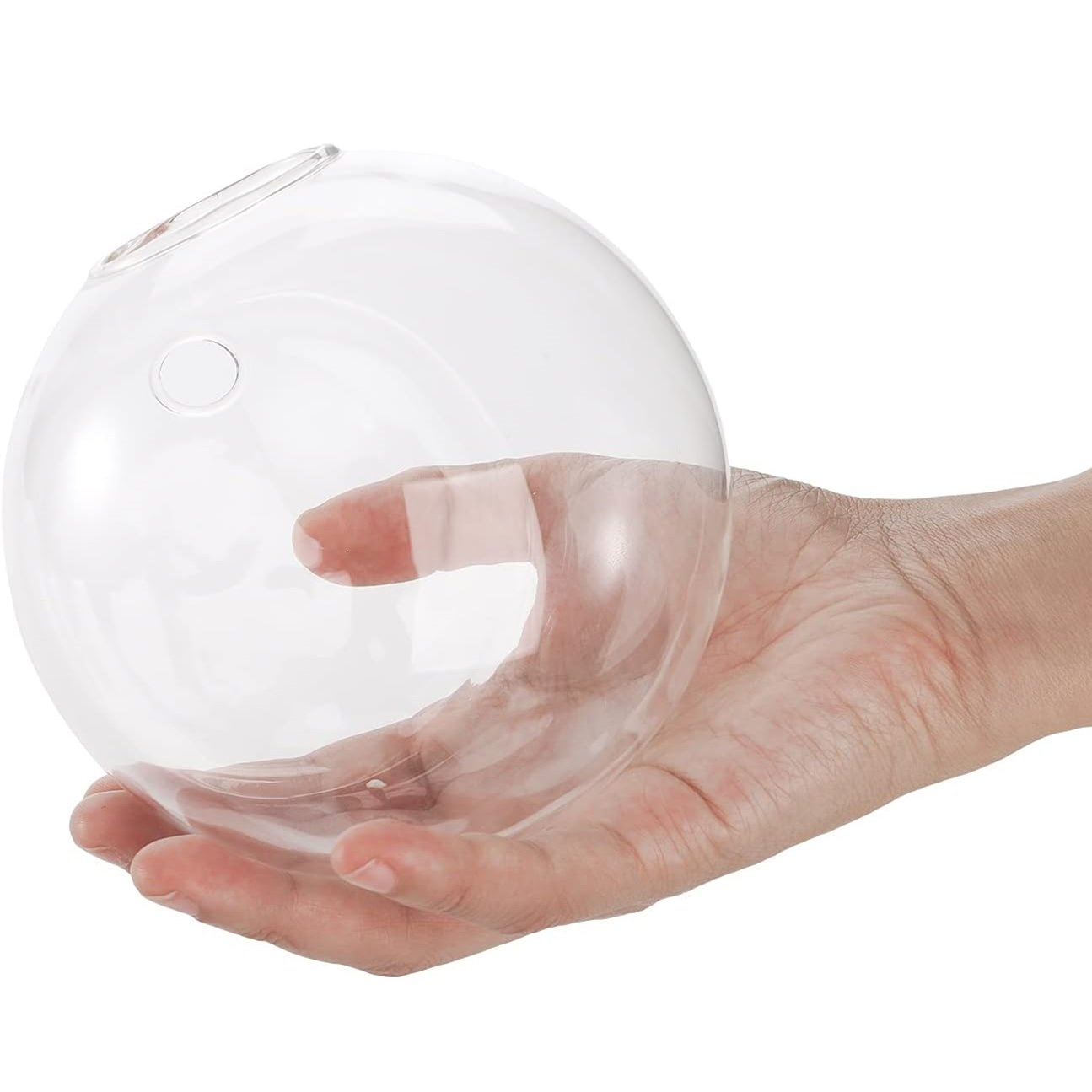 💥Special sale - Glass Oblate Globe Plants Containers Wall Mount Clear Flower Vase