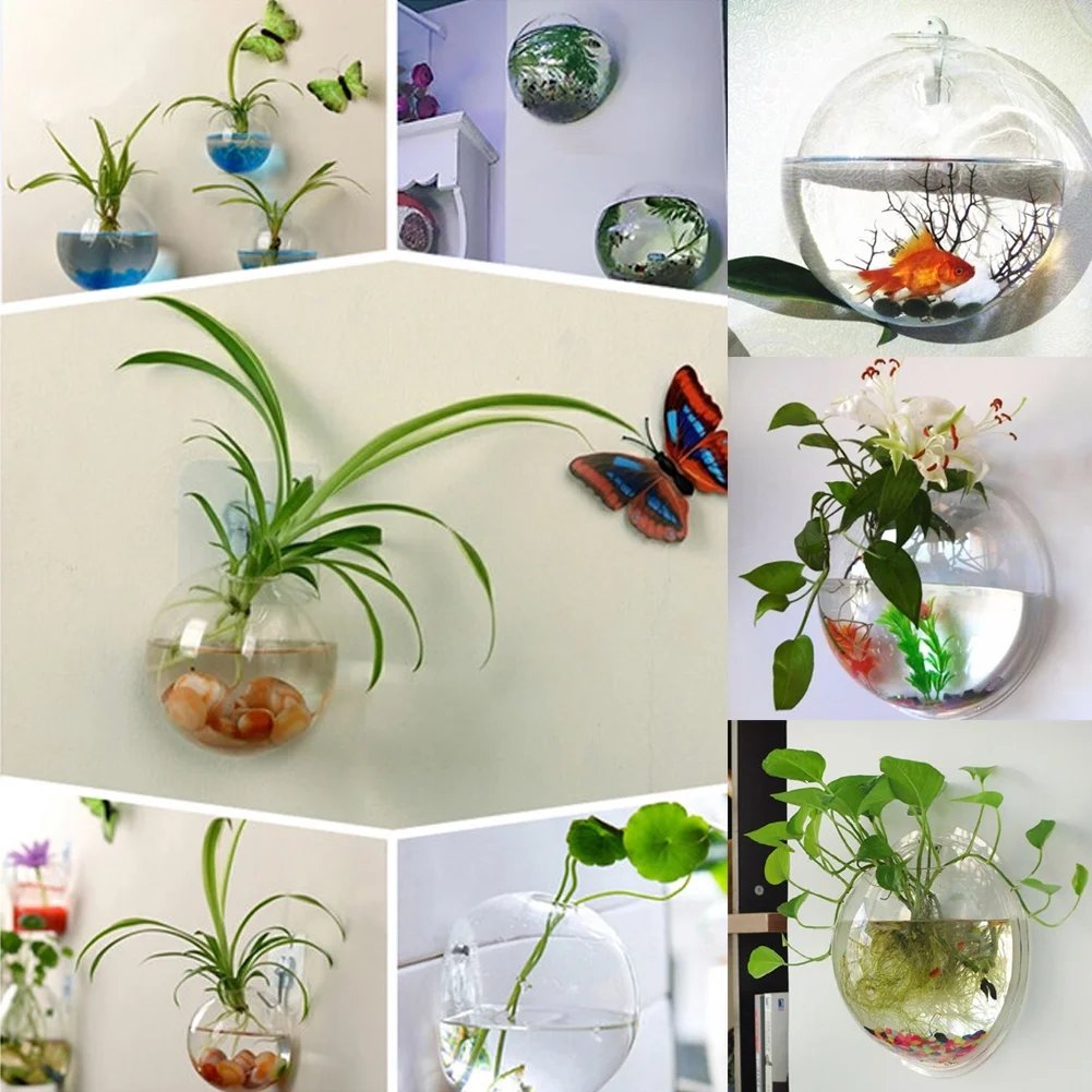 💥Special sale - Glass Oblate Globe Plants Containers Wall Mount Clear Flower Vase