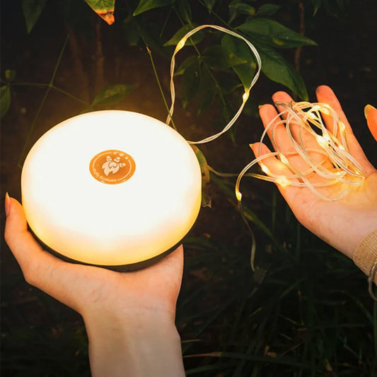 🎄💥Outdoor Waterproof Portable Storage Light