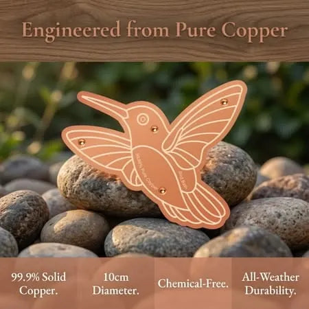 🪺Pure Copper Purification Disc for Birdbaths🍁