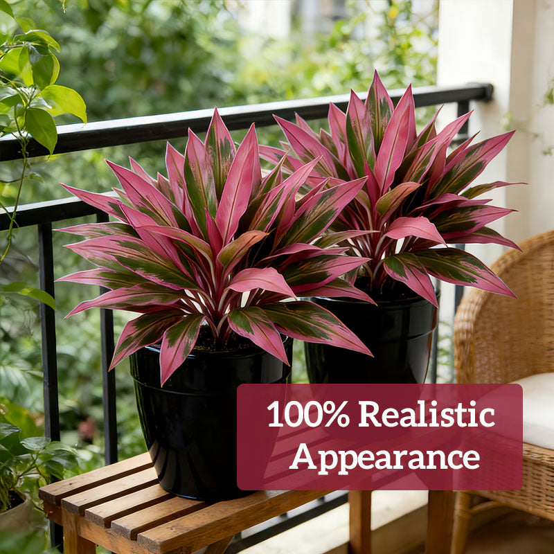 💥This Week's Special Price $15.99🌿Artificial Red Cordyline Ti Plant – No-Fuss Year-Round Vibrant Foliage