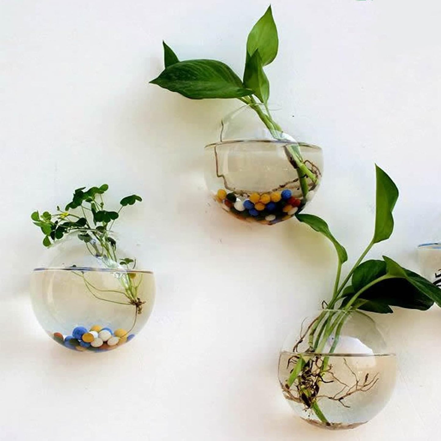 💥Special sale - Glass Oblate Globe Plants Containers Wall Mount Clear Flower Vase