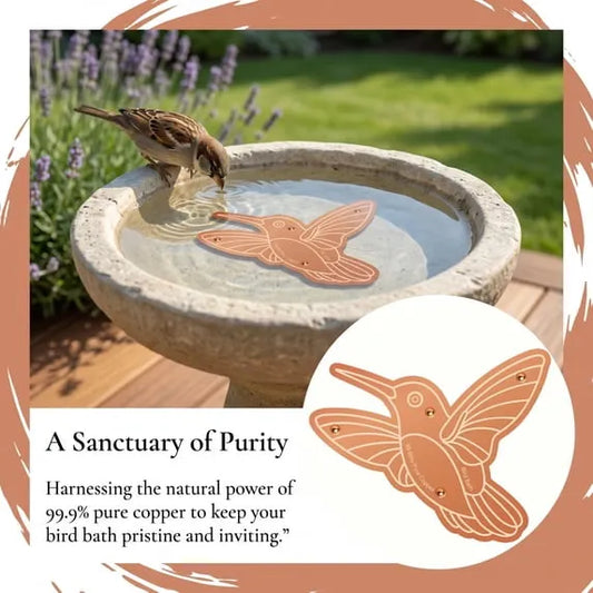 🍁Pure Copper Purification Disc for Birdbaths