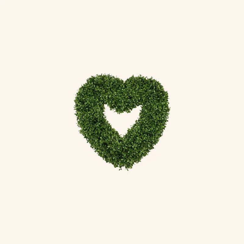 Valentine's Day Decorative Plants