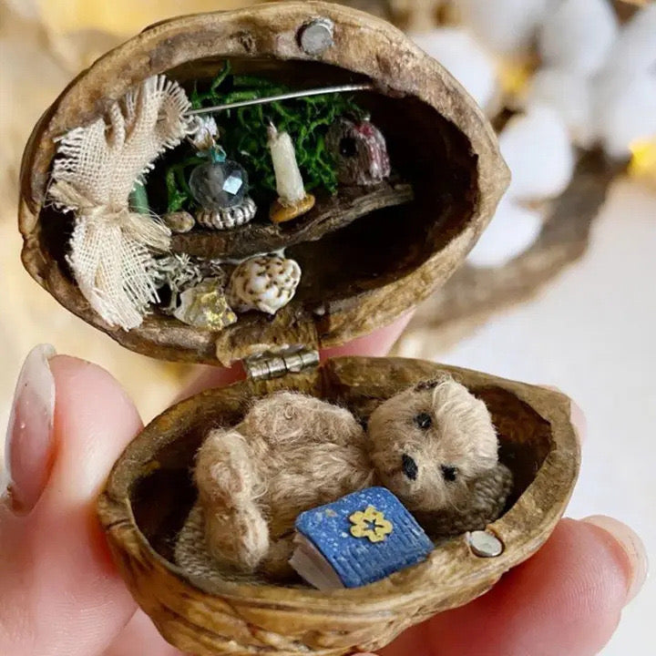 🏠Handmade.Walnut Shell Doll House--mini library, tiny World inside walnuts