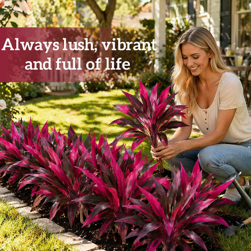 💥This Week's Special Price $15.99🌿Artificial Red Cordyline Ti Plant – No-Fuss Year-Round Vibrant Foliage