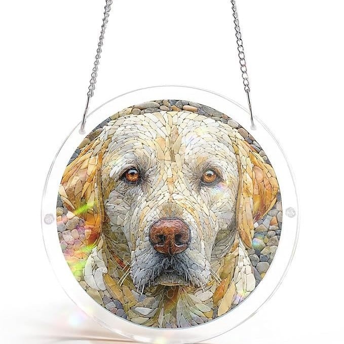 ☀️🛍️Acrylic Jigsaw Puzzle Suncatcher 80 Pieces