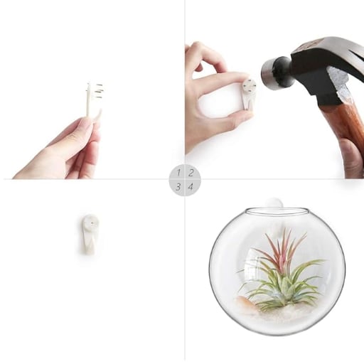 💥Special sale - Glass Oblate Globe Plants Containers Wall Mount Clear Flower Vase