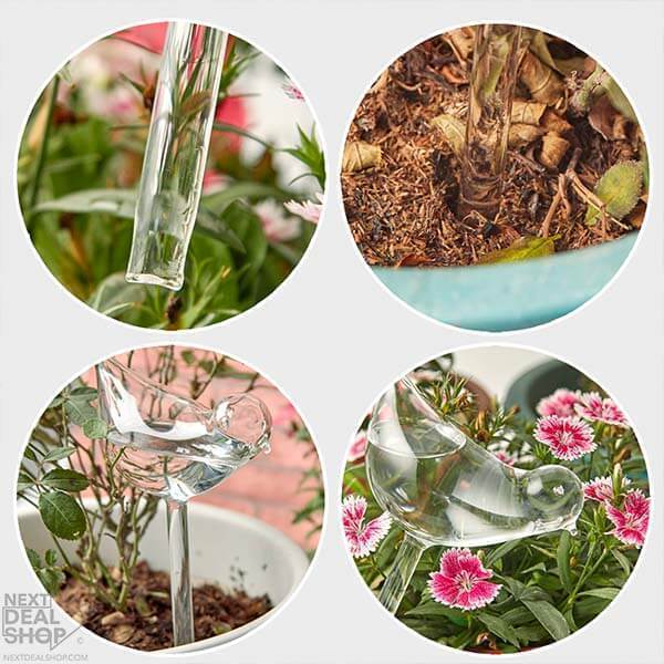 (Last Day Flash Sale-50% OFF)Self-Watering Plant Glass Bulbs-BUY 8 FREE SHIPPING