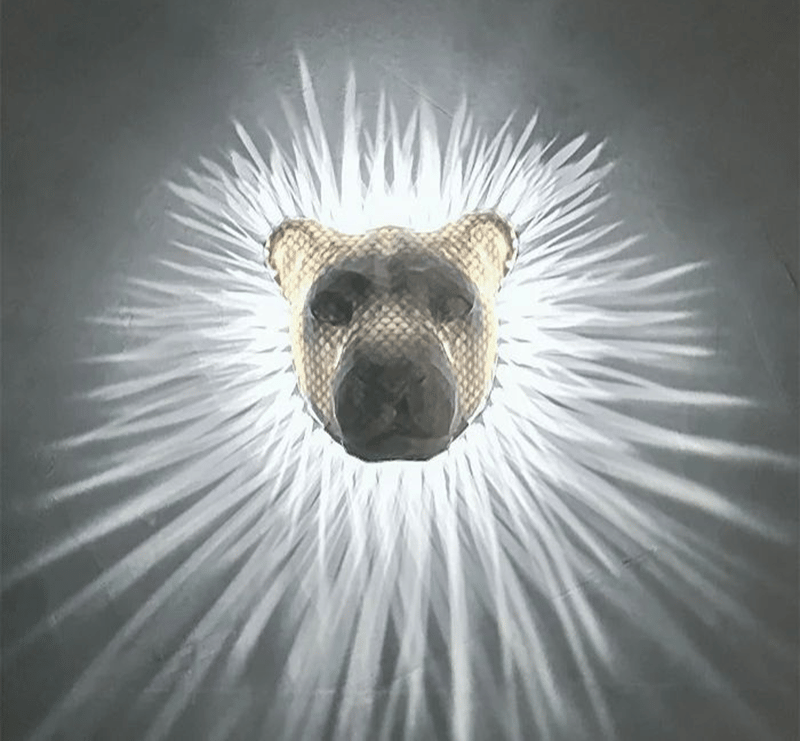 🔥 3D Animals LED Wall Light 🔥  Bald Eagle & Night Owl & Lion Head
